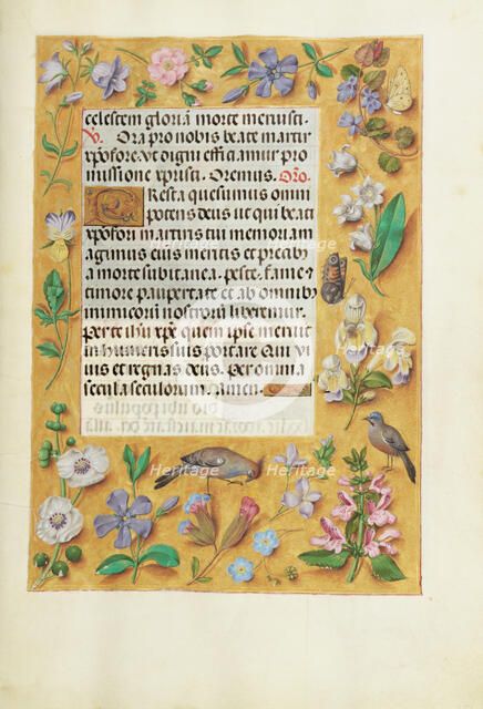 Decorated Text Page; Spinola Hours, about 1510-1520. Creator: Unknown.