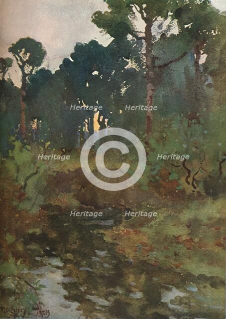 'Decorative Landscape Study', c1903 (1903-1904). Artist: Reginald Jones.