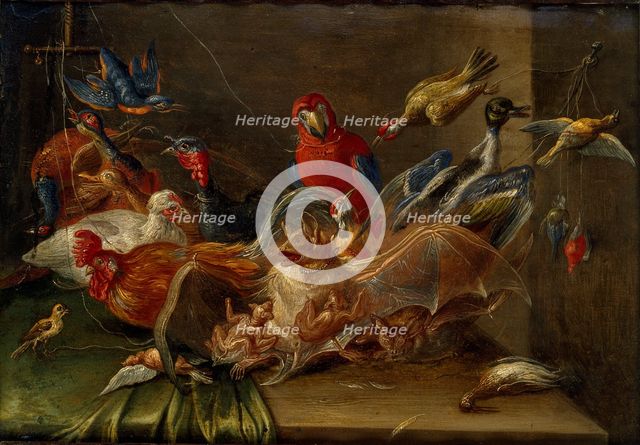 Decorative Still-Life Composition with Birds and Two Bats, mid 17th century. Artist: Jan van Kessel.