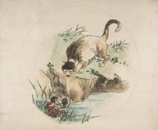 Decoration for a Plate: A Cat Hunting a Crab, 1850-1914. Creator: Felix Bracquemond