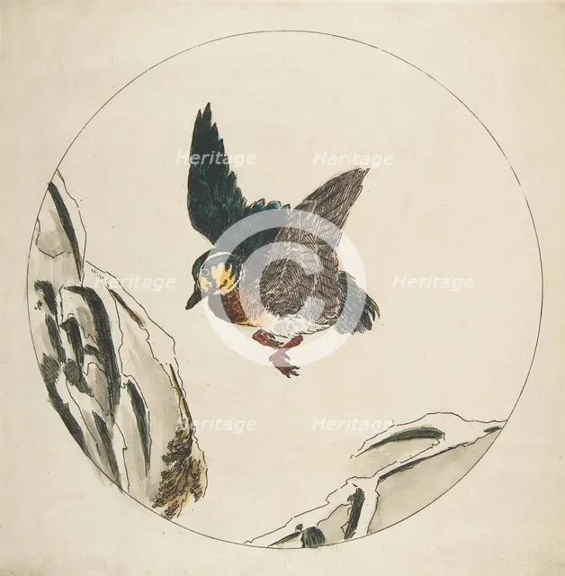 Decoration for a Plate: A Duck flying over Snow-covered Branches, 1850-1914. Creator: Felix Bracquemond.
