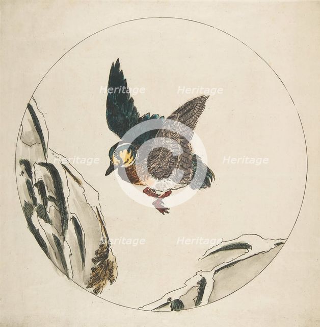 Decoration for a Plate: A Duck flying over Snow-covered Branches, 1850-1914. Creator: Felix Bracquemond.