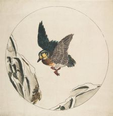 Decoration for a Plate: A Duck flying over Snow-covered Branches, 1850-1914. Creator: Felix Bracquemond