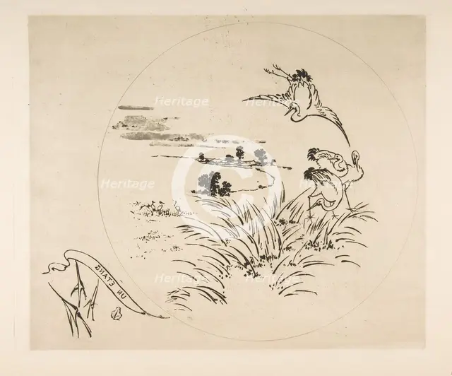 Decoration for a Plate: A Pond, 1870. Creator: Felix Bracquemond.
