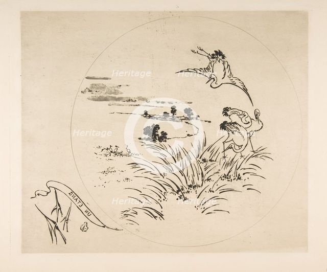 Decoration for a Plate: A Pond, 1870. Creator: Felix Bracquemond.