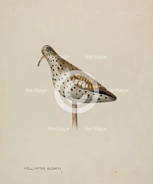 Decoy, c. 1939. Creator: Wellington Blewett.