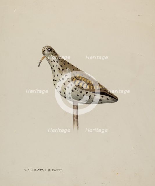 Decoy, c. 1939. Creator: Wellington Blewett.