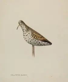 Decoy, c. 1939. Creator: Wellington Blewett