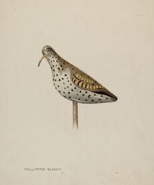 Decoy, c. 1939. Creator: Wellington Blewett