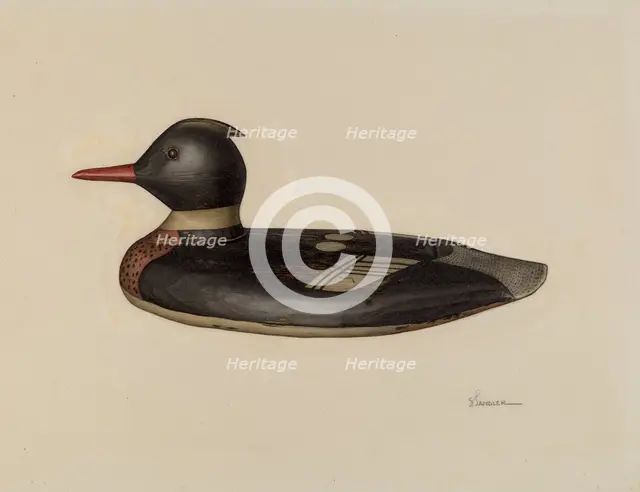 Decoy, c. 1941. Creator: Selma Sandler.