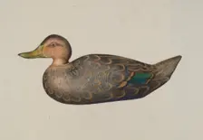 Decoy Duck, 1935/1942. Creator: Harriette Gale