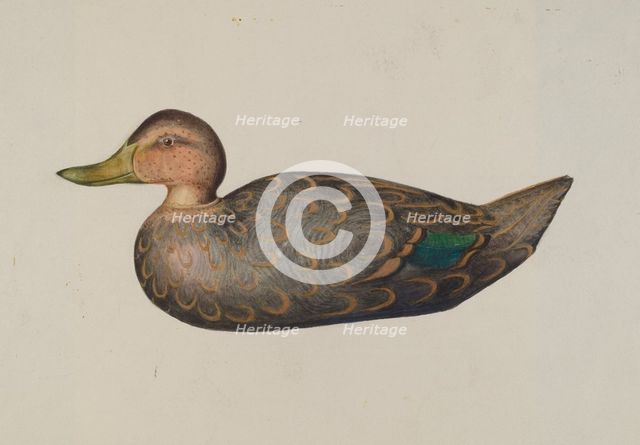 Decoy Duck, 1935/1942. Creator: Harriette Gale.