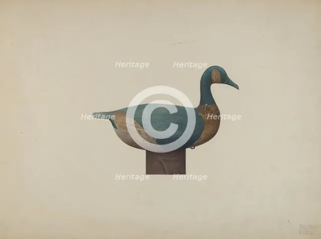 Decoy Duck, c. 1939. Creator: John Sullivan.