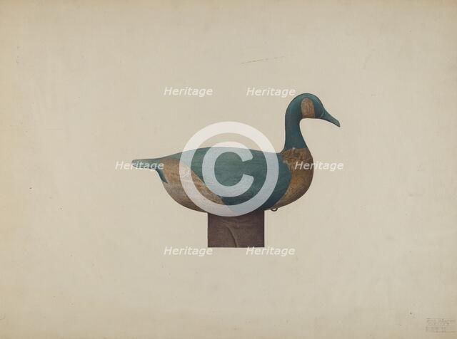 Decoy Duck, c. 1939. Creator: John Sullivan.