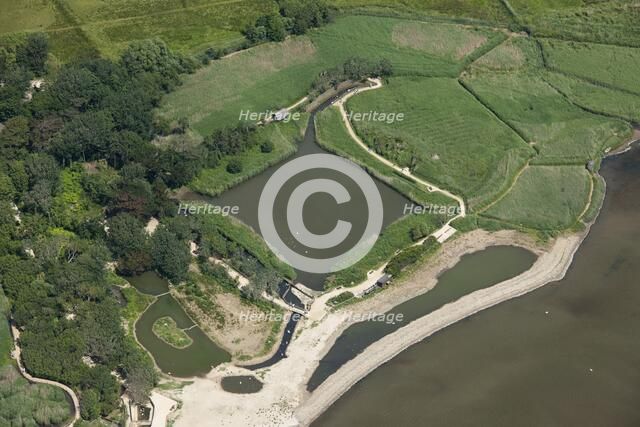 Decoy pond, Abbotsbury Swannery, Dorset, 2014. Creator: Historic England Staff Photographer.
