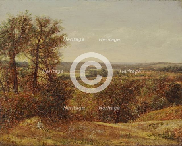 Dedham Vale, 1802. Creator: John Constable.