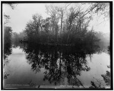Deep Creek, Florida, between 1880 and 1897. Creator: William H. Jackson