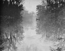 Deep Creek, Florida c1897. Creator: Unknown