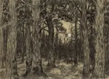 Deep in the Woods of the Krasnoyarsk Taiga, 1904. Creator: Boris Vasilievich Smirnov