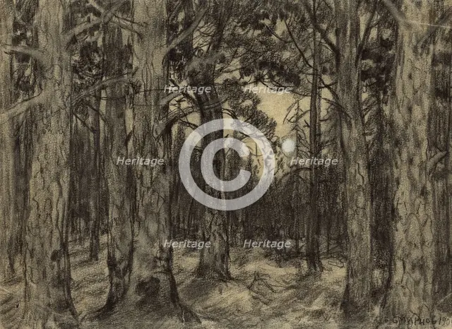 Deep in the Woods of the Krasnoyarsk Taiga, 1904. Creator: Boris Vasilievich Smirnov.