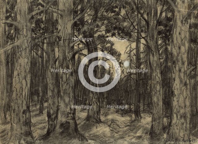 Deep in the Woods of the Krasnoyarsk Taiga, 1904. Creator: Boris Vasilievich Smirnov.