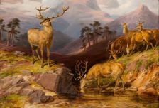 Deer, 1854. Creator: James William Giles