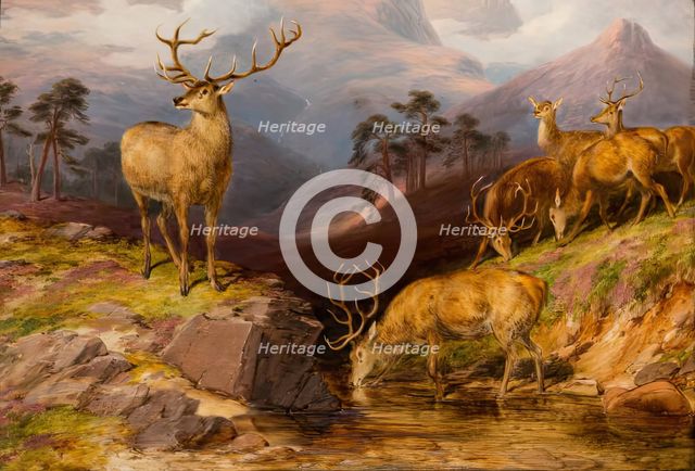 Deer, 1854. Creator: James William Giles.