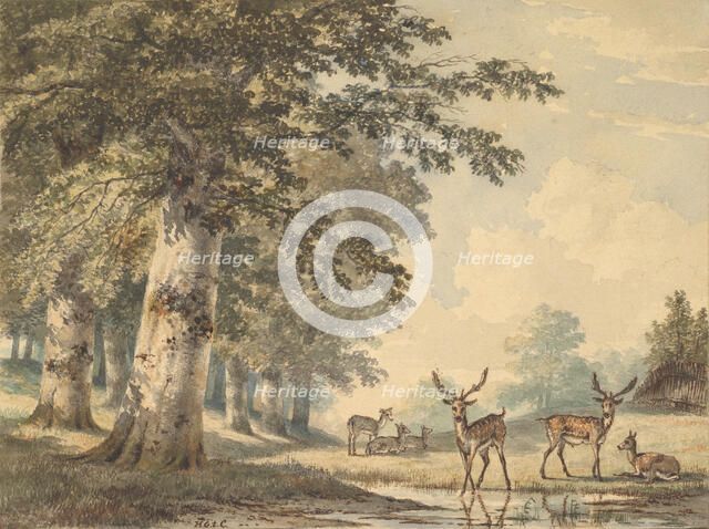 Deer under Beech Trees in Winter, 1853. Creator: Hendrik Gerrit ten Cate.