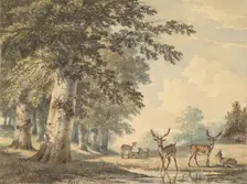 Deer under Beech Trees in Winter, 1853. Creator: Hendrik Gerrit ten Cate