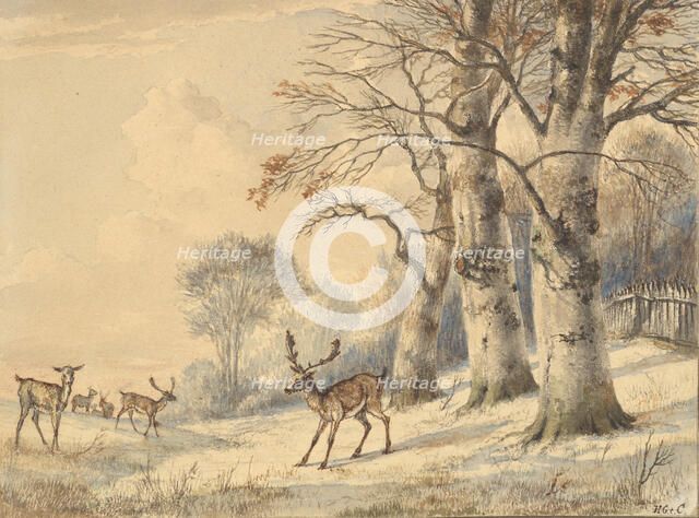 Deer under Beech Trees in Summer, 1853. Creator: Hendrik Gerrit ten Cate.