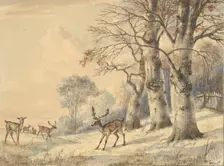 Deer under Beech Trees in Summer, 1853. Creator: Hendrik Gerrit ten Cate