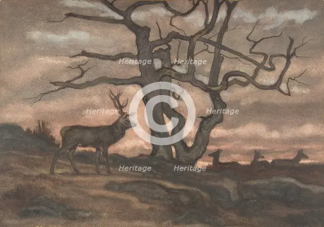 Deer and Tree Against Sunset, 1810-75. Creator: Antoine-Louis Barye.