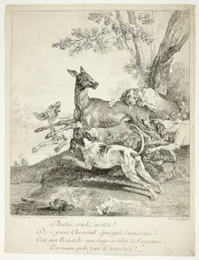 Deer Attacked by Dogs, 1725. Creator: Jean-Baptiste Oudry