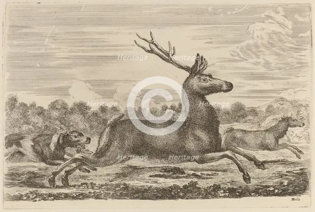 Deer Chased by Two Dogs to the Left. Creator: Stefano della Bella.