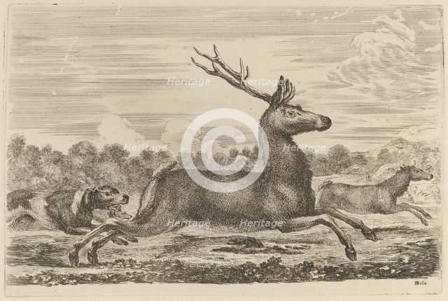 Deer Chased by Two Dogs to the Left. Creator: Stefano della Bella.