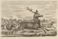 Deer Chased by Two Dogs to the Left. Creator: Stefano della Bella