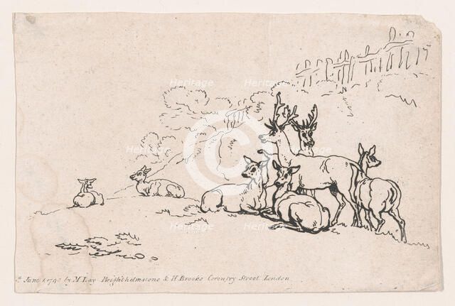 Deer (from Plate 3, Outlines of Figures, Landscapes and Cattle...for the Use of Le..., June 1, 1790. Creator: Thomas Rowlandson.