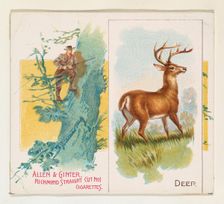 Deer, from Quadrupeds series (N41) for Allen & Ginter Cigarettes, 1890. Creator: Allen & Ginter