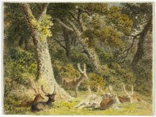 Deer Herd Resting, 1789-1844. Creator: Robert Hills