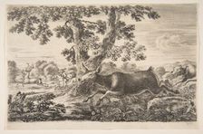 Deer hunt, from Animal hunts (Chasses à différents animaux), ca. 1654. Creator: Stefano della Bella