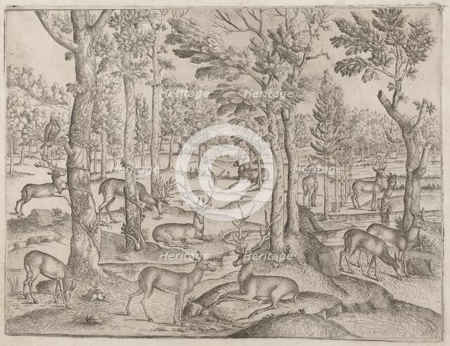Deer in the Forest, c. 1520. Creator: Unknown.