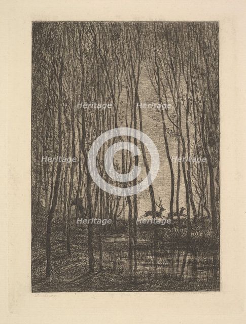 Deer in the Woods, 1850. Creator: Charles Francois Daubigny.