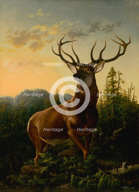 Deer in forest landscape, 1876. Creator: Alexander Brodszky.