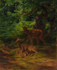 Deer in Repose, 1867. Creator: Rosa Bonheur