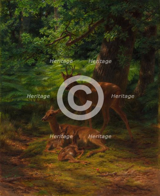 Deer in Repose, 1867. Creator: Rosa Bonheur.