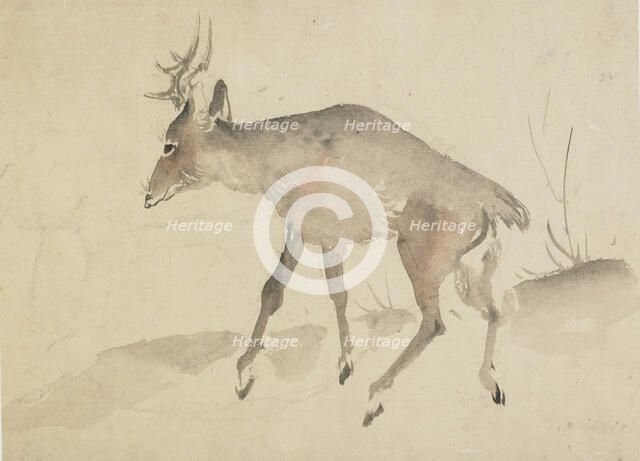 Deer, late 18th-early 19th century. Creator: Hokusai.