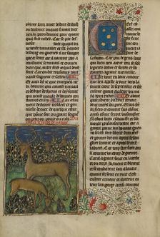 Deer; Livre de la Chasse, about 1430-1440. Creator: Unknown