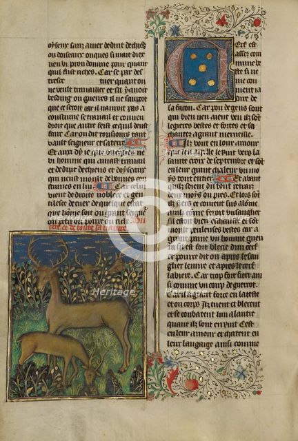 Deer; Livre de la Chasse, about 1430-1440. Creator: Unknown.