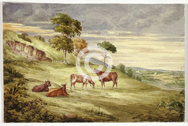 Deer Park, possibly Kilkenny, 1843. Creator: Elizabeth Murray.