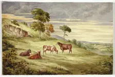 Deer Park, possibly Kilkenny, 1843. Creator: Elizabeth Murray